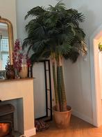 Prachtige kunstpalmboom van Intratuin, 200 cm of meer, Palm, In pot, Groene kamerplant
