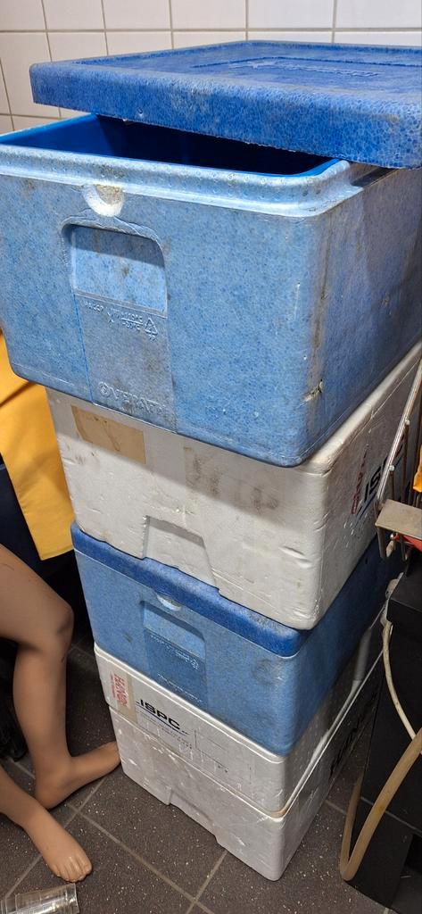 5 Piepschuim Thermoboxen - Koelboxen, Huis en Inrichting, Keuken | Keukenbenodigdheden, Gebruikt, Ophalen