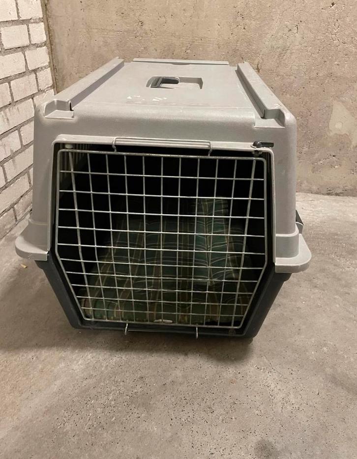 Reis bench voor dieren, Dieren en Toebehoren, Transportboxen, Gebruikt, Ophalen