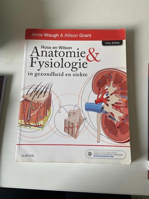 R&W Anatomie en Fysiologie in gezondheid en ziekt (12de ed.), Boeken, Studieboeken en Cursussen, Zo goed als nieuw, HBO, Beta