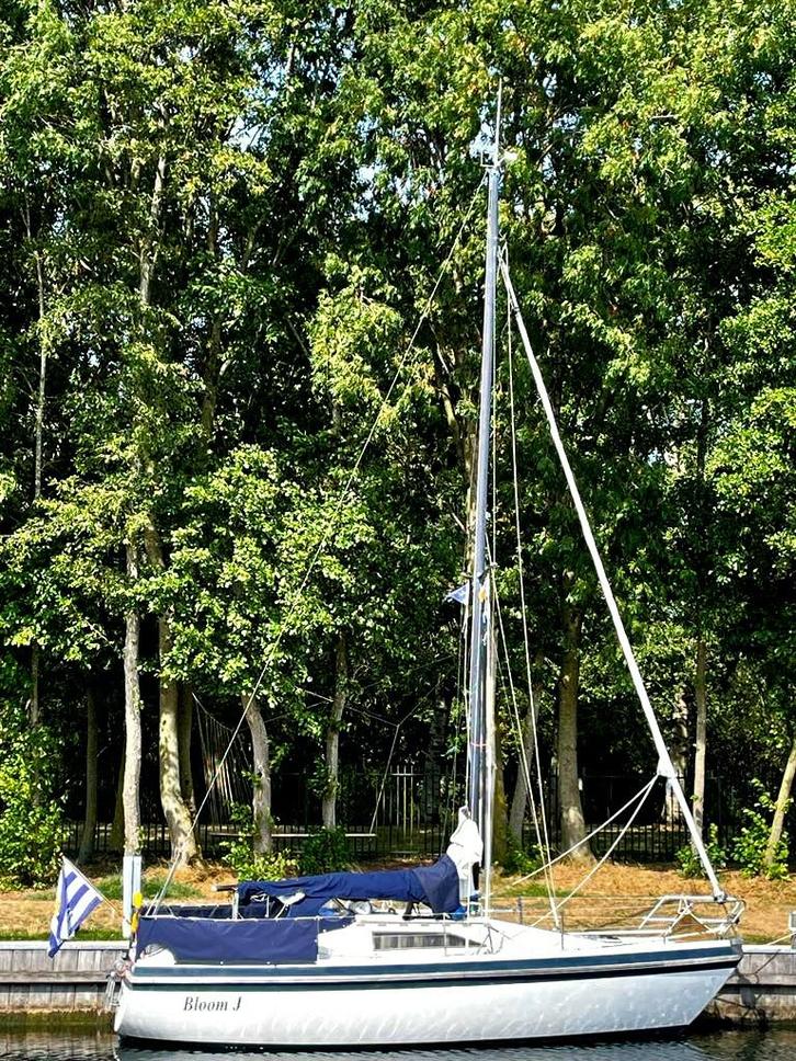 Piewiet 850 zeilboot - Fijne zeiler!, Watersport en Boten, Zeilen en Zeiltoebehoren, Gebruikt, Ophalen of Verzenden