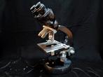 Zeiss-Winkel Standard Junior - binoculair - jaren 50/60, Ophalen of Verzenden, Zo goed als nieuw, Minder dan 400x, Stereomicroscoop