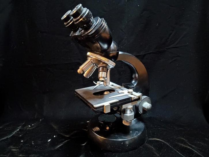 Zeiss-Winkel Standard Junior - binoculair - jaren 50/60, Audio, Tv en Foto, Optische apparatuur | Microscopen, Zo goed als nieuw