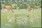 Kavel 637 Velletje Jersey paddenstoelen 2005, Postzegels en Munten, Postzegels | Europa | UK, Verzenden, Postfris