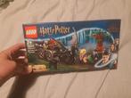 Lego Harry Potter, Ophalen of Verzenden, Nieuw, Overige merken