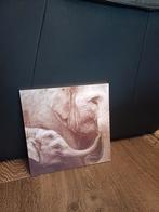 3d olifanten schilderij,, Huis en Inrichting, Minder dan 50 cm, Oorspronkelijke maker, Ophalen of Verzenden, Zo goed als nieuw