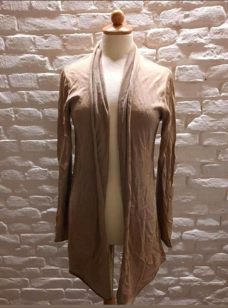 Geddes & Gillmore Vest Maat 40, Kleding | Dames, Truien en Vesten, Zo goed als nieuw, Maat 38/40 (M), Beige, Verzenden