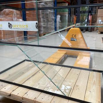 Glazen Klimtrap voor Gerbils – Passend in Elk Gerbilarium beschikbaar voor biedingen