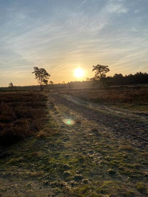 Stalling, Dieren en Toebehoren, Stalling en Weidegang, Stalling