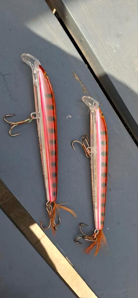 Kunstaas Pluggen - 2 stuks, Watersport en Boten, Hengelsport | Karpervissen, Gebruikt, Overige typen, Ophalen of Verzenden