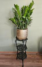 Brocante plantenstandaard / plantentafel van gietijzer, Ophalen, Gebruikt