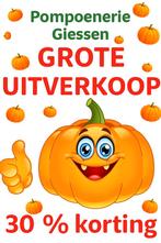 Grote Uitverkoop Pompoenen, Ophalen, Overige soorten, Volle zon