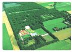 903289	Zorgvlied	Drenthe	Bungalowpark	Groot Bartje	Roodstemp, Verzamelen, Ansichtkaarten | Nederland, Ophalen of Verzenden, Gelopen