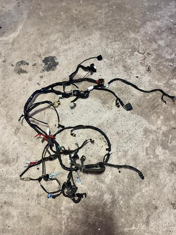 Vespa sprint  iget kabelboom ongeknipt beschikbaar voor biedingen