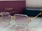 Cartier Panthere, Overige merken, Zonnebril, Overige kleuren, Nieuw