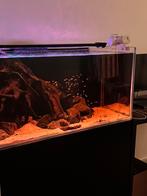 Red sea Reefer 425 xl zoetwater, Ophalen, Zo goed als nieuw, Leeg aquarium