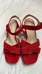 Rode sandalen, merk gabor, zo goed als nieuw, Kleding | Dames, Schoenen, Gabor, Zo goed als nieuw, Rood, Sandalen of Muiltjes