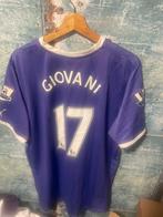Tottenham voetbalshirt vintage giovani dos santos origineel!, Verzamelen, Sportartikelen en Voetbal, Ophalen of Verzenden, Zo goed als nieuw
