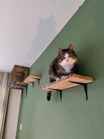 Katten kist en plankjes te koop, Dieren en Toebehoren, Ophalen