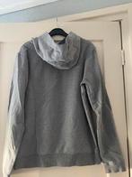 Tommy Hilfiger Hoodie, Kinderen en Baby's, Kinderkleding | Maat 176, Gebruikt, Trui of Vest, Ophalen of Verzenden, Tommy Hilfiger