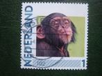 persoonlijk  aap, Postzegels en Munten, Postzegels | Nederland, Na 1940, Verzenden, Gestempeld