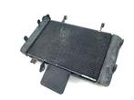 RADIATEUR Suzuki DL 650 V-Strom XT 2015 (DL650), Gebruikt