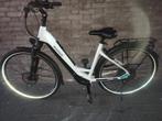 Pegasus PREMIO, Fietsen en Brommers, 47 tot 51 cm, Ophalen of Verzenden, Zo goed als nieuw, Overige merken
