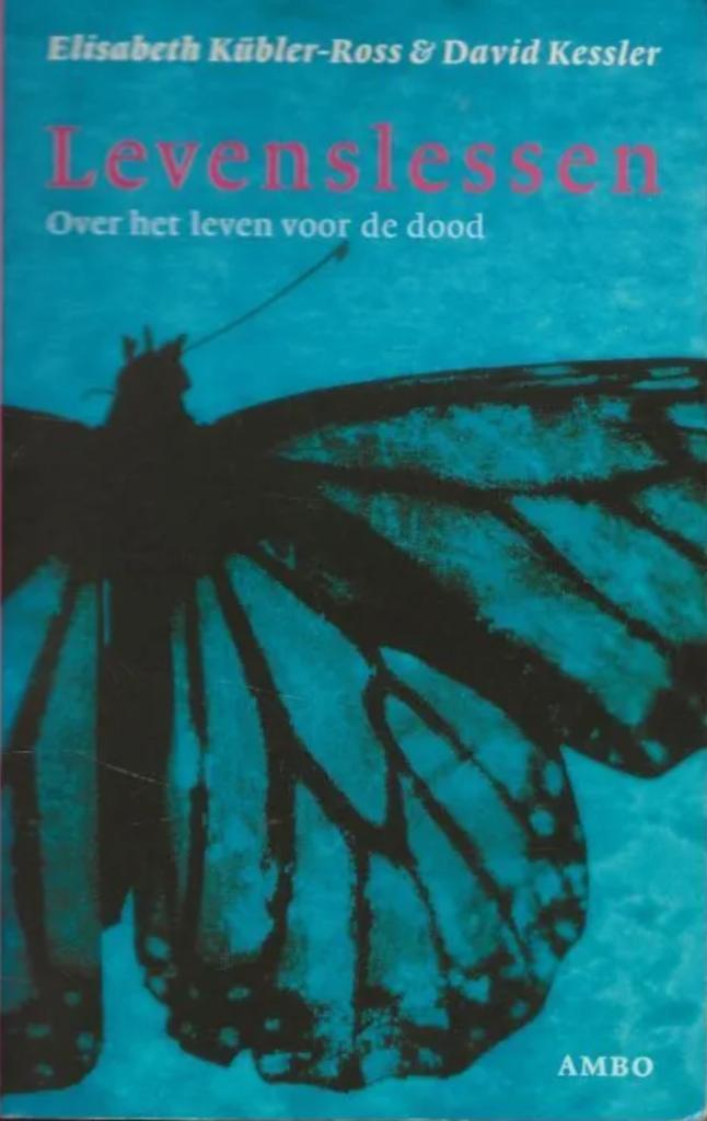 Levenslessen (Over het leven voor de dood), Boeken, Filosofie, Zo goed als nieuw, Ophalen of Verzenden