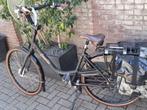 Gazelle Bloom moederfiets, Ophalen, 2 zitjes, 53 tot 56 cm, Gebruikt