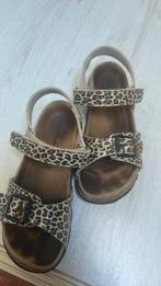 Hush Puppies maat 34, Kinderen en Baby's, Kinderkleding | Schoenen en Sokken, Meisje, Hush Puppies, Schoenen, Ophalen of Verzenden