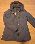 Nieuwe airforce winterjas XL, Ophalen of Verzenden, Nieuw, Grijs