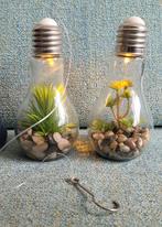 Lampjes met nepplantjes, Ophalen of Verzenden, Zo goed als nieuw