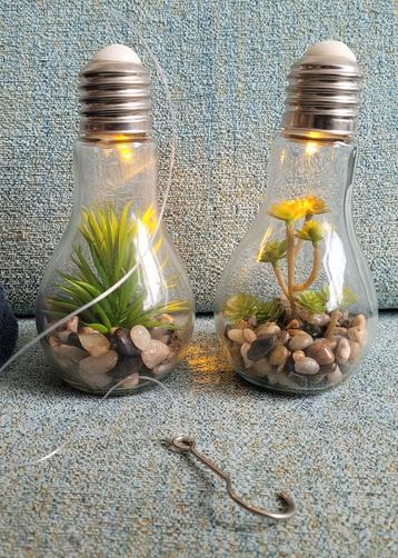 Lampjes met nepplantjes beschikbaar voor biedingen