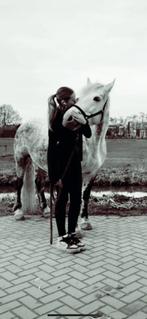 Boerderij/Stal hulp, Dieren en Toebehoren, Ophalen of Verzenden, Overige soorten