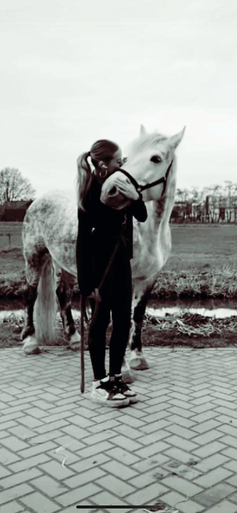 Boerderij/Stal hulp, Dieren en Toebehoren, Paarden en Pony's | Overige Paardenspullen, Overige soorten, Ophalen of Verzenden
