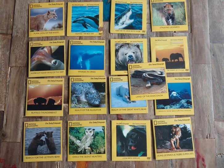 National Geographic DVD Collectie - Wilde Dieren, Cd's en Dvd's, Dvd's | Documentaire en Educatief, Gebruikt, Natuur, Alle leeftijden
