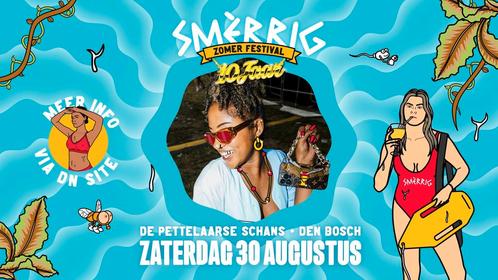 Smerrig zomer festival tickets, Tickets en Kaartjes, Evenementen en Festivals, Drie personen of meer