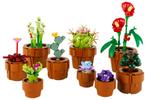 LEGO Icons 10329 MiniPlantjes 758 delig, Kinderen en Baby's, Speelgoed | Duplo en Lego, Ophalen of Verzenden, Nieuw, Complete set