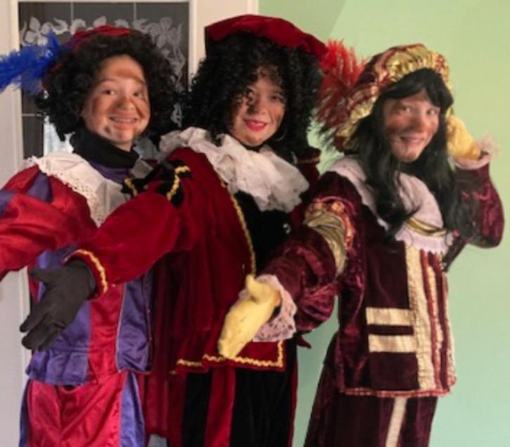 Pietjes op Bezoek - Sinterklaas in Halderberge, Diversen, Sinterklaas, Ophalen