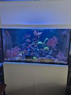 Compleet Aqua Medic Armatus 375XD, Dieren en Toebehoren, Vissen | Aquaria en Toebehoren, Ophalen