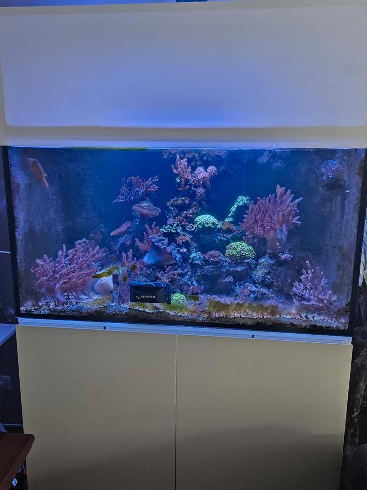 Compleet Aqua Medic Armatus 375XD, Dieren en Toebehoren, Vissen | Aquaria en Toebehoren, Ophalen