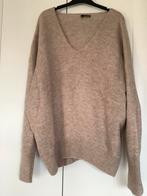 Leuke Norah trui maat 48, Kleding | Dames, Grote Maten, Ophalen of Verzenden, Zo goed als nieuw, Beige, Trui of Vest