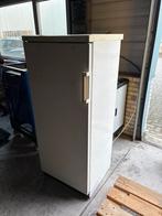 Bosch economic cooler koelkast, Witgoed en Apparatuur, Koelkasten en IJskasten, Ophalen, Zonder vriesvak, 200 liter of meer, 160 cm of meer