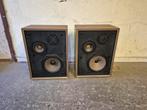 2x philips boxen 30 watt, Ophalen of Verzenden, Minder dan 60 watt, Philips