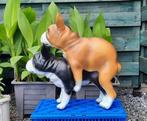 Franse bulldog´s honden,dogs voor in&out,Mancave item,,,,,,, Ophalen, Nieuw, Kunststof, Dierenbeeld