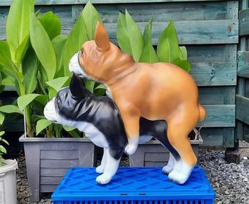 Franse bulldog´s honden,dogs voor in&out,Mancave item,,,,,, beschikbaar voor biedingen
