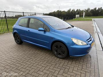 Peugeot 307 1.6-16V Gentry beschikbaar voor biedingen