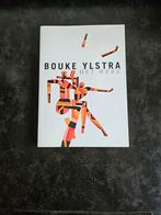 Bouke Ylstra, Boeken, Ophalen of Verzenden, Zo goed als nieuw, Schilder- en Tekenkunst