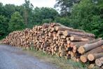Eiken rondhout, Tuin en Terras, Haardhout, 6 m³ of meer, Ophalen, Eikenhout, Stammen