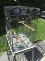 Vogelkooi 57 x 43 x 73 (134 cm met standaard) €40, Ophalen of Verzenden, Zo goed als nieuw, Metaal, Vogelkooi